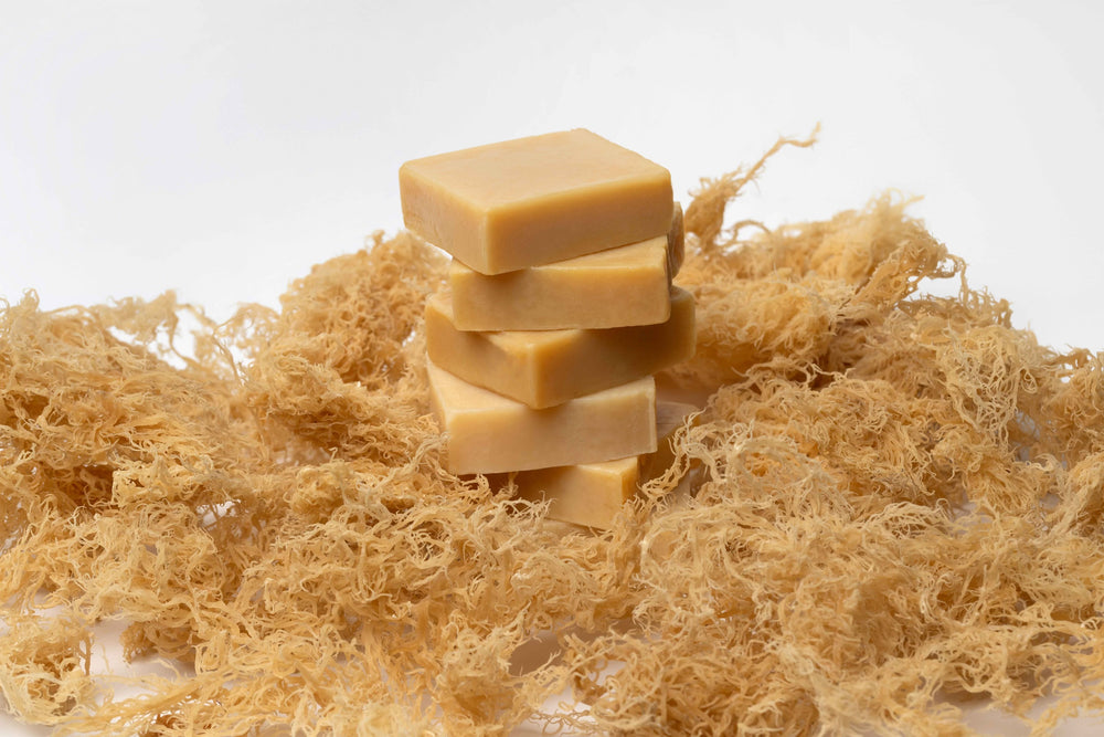 Golden Sea Moss Turmeric Soap